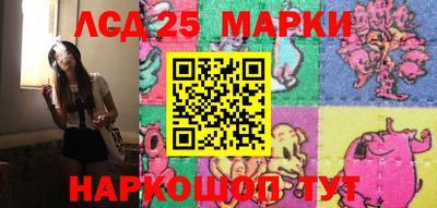 прущие грибы Нальчик