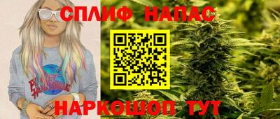 прущие грибы Нальчик