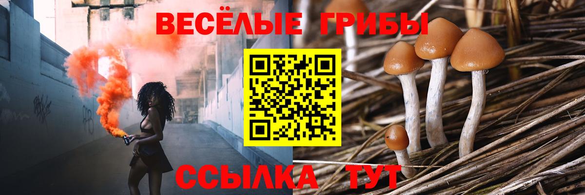 Галлюциногенные грибы ЛСД Туймазы